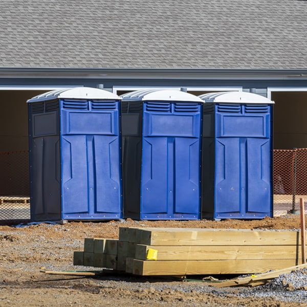 how often are the porta potties cleaned and serviced during a rental period in Lewis NY